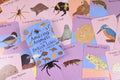 Amazing Animals of the British Isles Fact Cards - Sprouts of Bristol