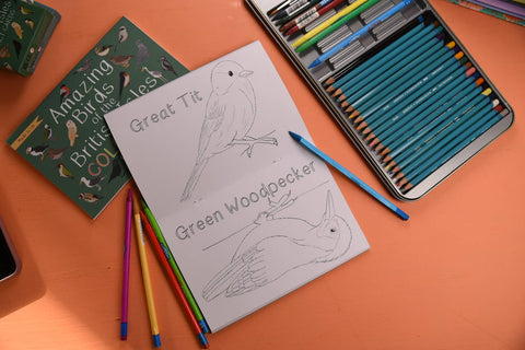 Amazing Birds of the British Isles Colouring Book - Sprouts of Bristol