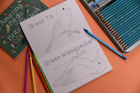 Amazing Birds of the British Isles Colouring Book - Sprouts of Bristol