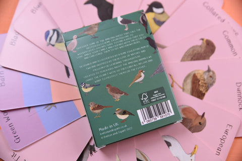 Amazing Birds of the British Isles Fact Cards - Sprouts of Bristol