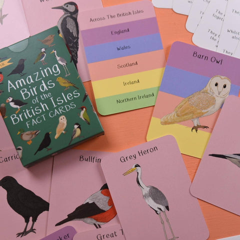 Amazing Birds of the British Isles Fact Cards - Sprouts of Bristol