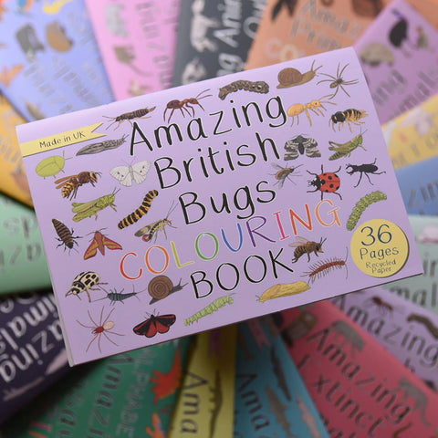 Amazing British Bugs Colouring Book - Sprouts of Bristol