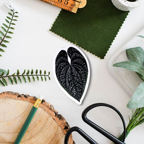 Anthurium luxurians Tropical Houseplant Vinyl Sticker [Beneath the Canopy RHS Collab] - Sprouts of Bristol