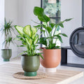 Austin Dual Colour Metal Planters - Sprouts of Bristol