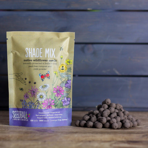 Butterfly Mix - Wildflower Grab Bag