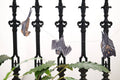 Bats Sewn Garland - Sprouts of Bristol