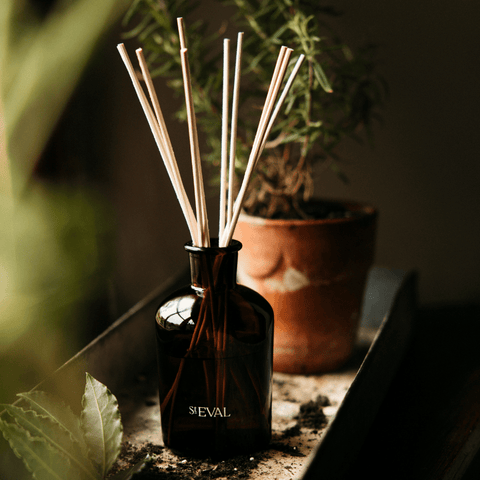 Bay & Rosemary Diffuser Refill - Sprouts of Bristol