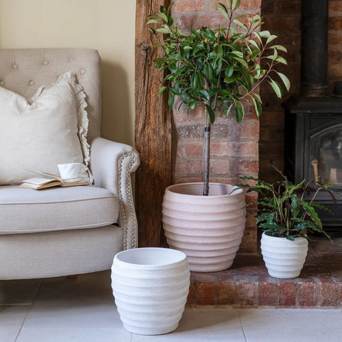 Beatrice Plant Pot - Sprouts of Bristol