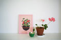 Begonia Print A4 - Sprouts of Bristol