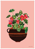 Begonia Print A4 - Sprouts of Bristol