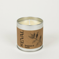 Bergamot & Nettle Scented Tin Candle - Sprouts of Bristol