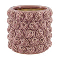 Berry Ceramic Pot – Purple - Sprouts of Bristol