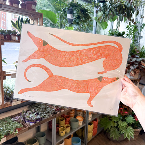 Big Stretch Dogs Riso Art Print - Sprouts of Bristol