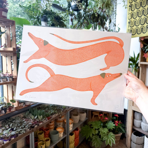 Big Stretch Dogs Riso Art Print - Sprouts of Bristol