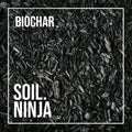 Biochar - Soil Component - Sprouts of Bristol