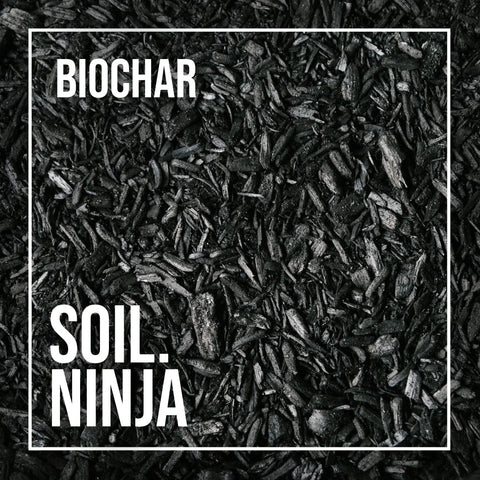 Biochar - Soil Component - Sprouts of Bristol