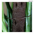 Biodegradable Plant Wire by Kratiste - 100% Natural, Plastic Free - Sprouts of Bristol