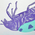 'Bugger' Ladybird Riso Art Print - Sprouts of Bristol