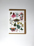 Butterflies Greetings Card - Sprouts of Bristol