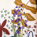 Campanula persicifolia ‘Telham Beauty’ - British Grown - Sprouts of Bristol
