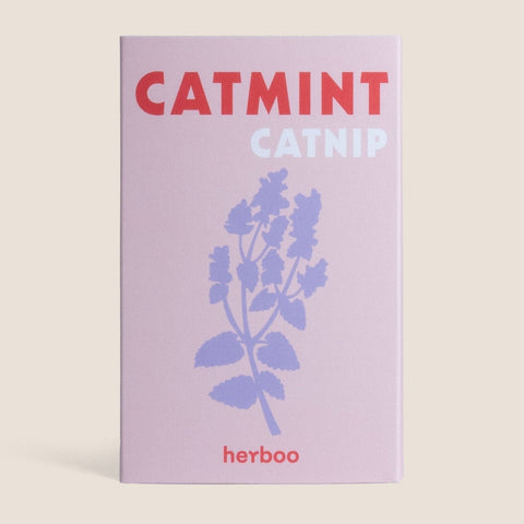 Catmint 'Nepeta Mussinii' Seeds - Sprouts of Bristol