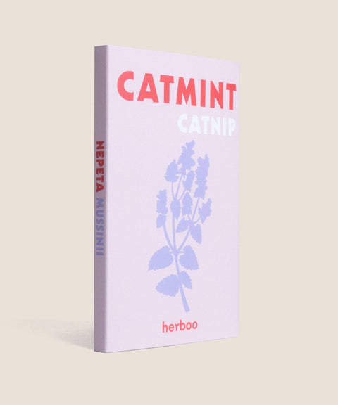 Catmint 'Nepeta Mussinii' Seeds - Sprouts of Bristol