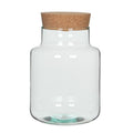 Chela Vessel [Terrarium Supplies] - Sprouts of Bristol
