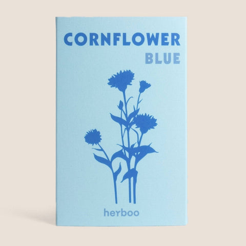 Cornflower Seeds - Sprouts of Bristol