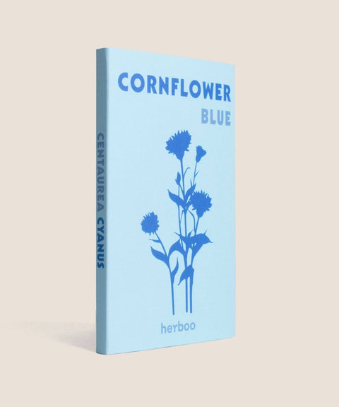 Cornflower Seeds - Sprouts of Bristol