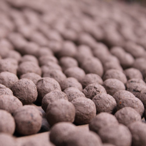 Cornflower Wildflower Seedball Tubes - Sprouts of Bristol