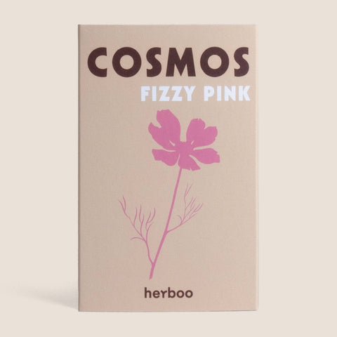 Cosmos 'Fizzy Pink' Seeds - Sprouts of Bristol