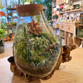 Custom Terrarium Designed & Made by Sprouts - Sprouts of Bristol