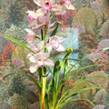 Cymbidium – Pale Pink Boat Orchid - Sprouts of Bristol