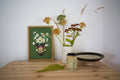 Daisies Print A4 - Sprouts of Bristol