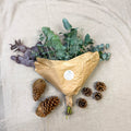 Eucalyptus Bunch – Mixed Varieties – Fresh Foliage for Christmas Wreaths, Floristry & Festive Crafting - Sprouts of Bristol