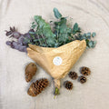 Eucalyptus Bunch – Mixed Varieties – Fresh Foliage for Christmas Wreaths, Floristry & Festive Crafting - Sprouts of Bristol