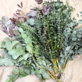 Eucalyptus Bunch – Mixed Varieties – Fresh Foliage for Christmas Wreaths, Floristry & Festive Crafting - Sprouts of Bristol