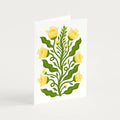 Evening Primrose Botanical Greetings Card - Sprouts of Bristol