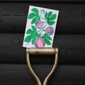 Fig Grow Greetings Card - Sprouts of Bristol