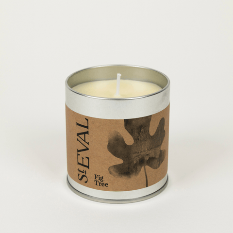 Fig Tree Scented Tin Candle - Sprouts of Bristol
