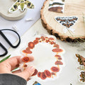 Fly Agaric Fungi Fairy Ring Suncatcher Decal Window Sticker - Sprouts of Bristol
