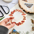 Fly Agaric Fungi Fairy Ring Suncatcher Decal Window Sticker - Sprouts of Bristol