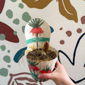 Fritillaria imperialis 'Rubra' - Scarlet Red Crown Imperial - Sprouts of Bristol