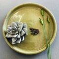Frog Mini Pin Brooch - Sprouts of Bristol
