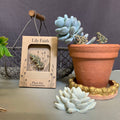Frog Plant Pot Companions - Sprouts of Bristol