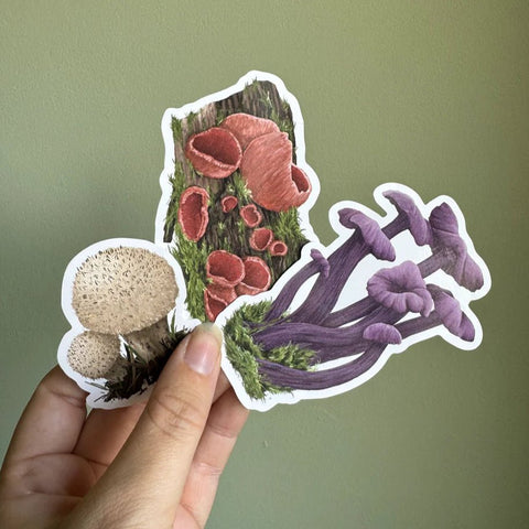 Fungi Vinyl Stickers Set of 3 - Sprouts of Bristol