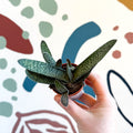 Gasteria ‘Little Warty’ – Ox Tongue Plant - Sprouts of Bristol