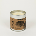 Grapefruit & Lime Scented Tin Candle - Sprouts of Bristol