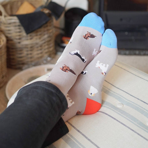 Grey Dogs Bamboo Socks - Sprouts of Bristol
