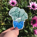 Hello Houseplants Sticker Pack - Sprouts of Bristol